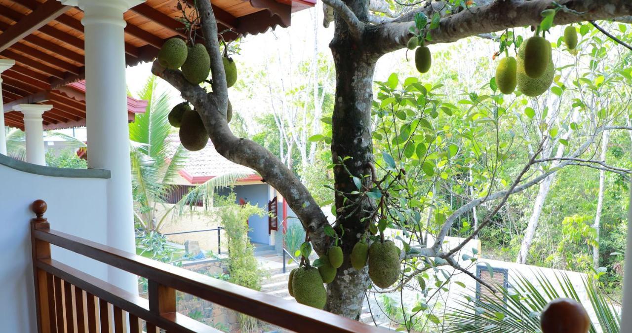 Terrace Garden Ayurveda Resort Weligama Bagian luar foto