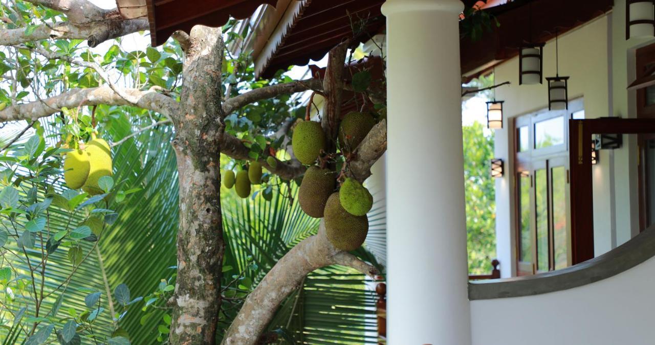 Terrace Garden Ayurveda Resort Weligama Bagian luar foto
