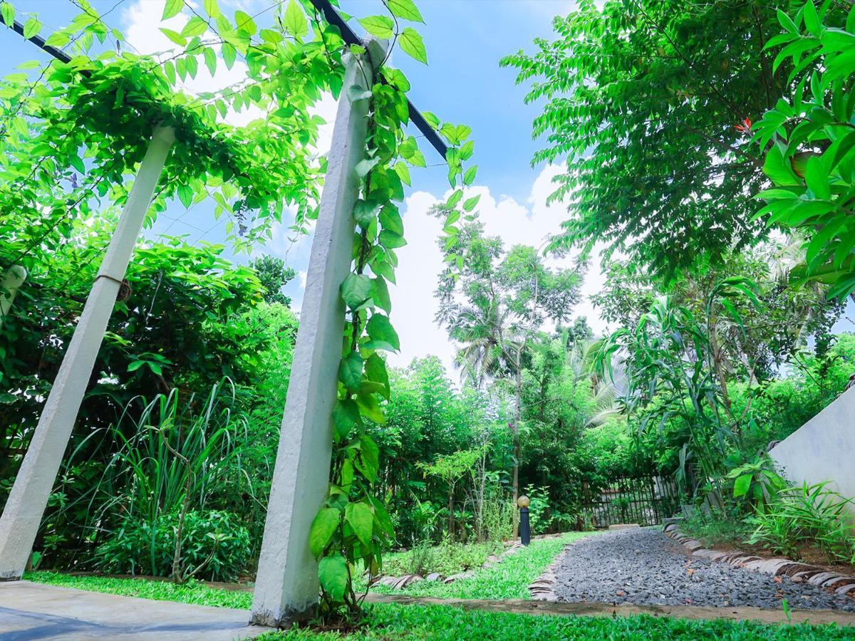 Terrace Garden Ayurveda Resort Weligama Bagian luar foto