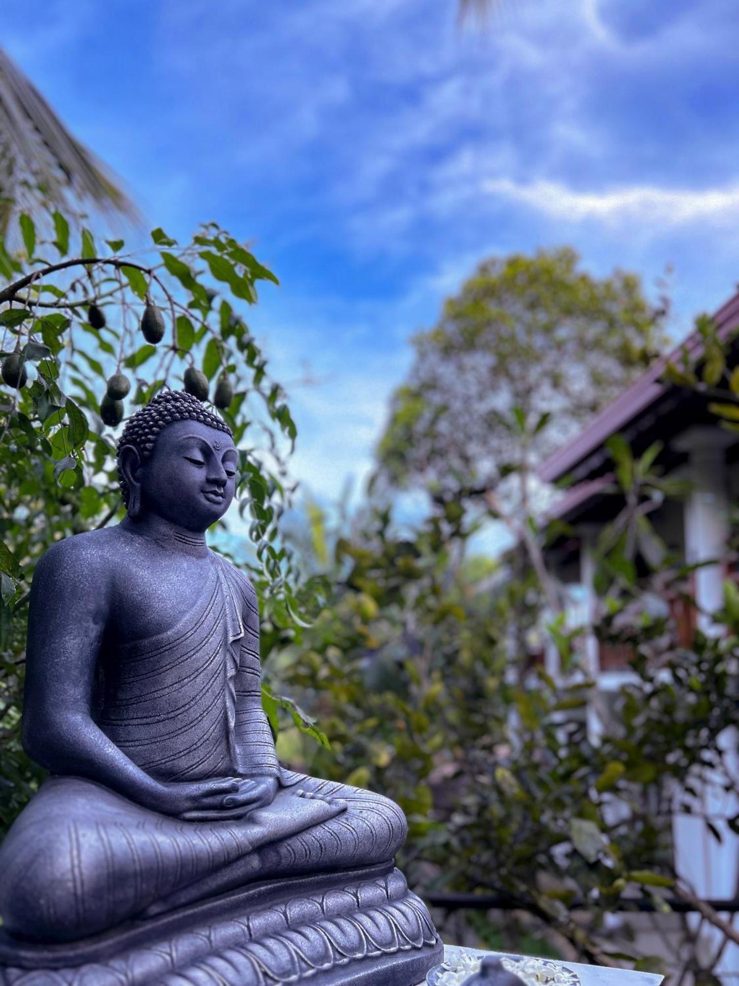 Terrace Garden Ayurveda Resort Weligama Bagian luar foto