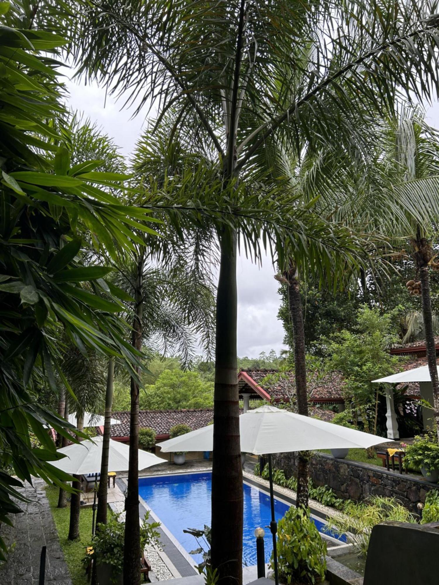 Terrace Garden Ayurveda Resort Weligama Bagian luar foto