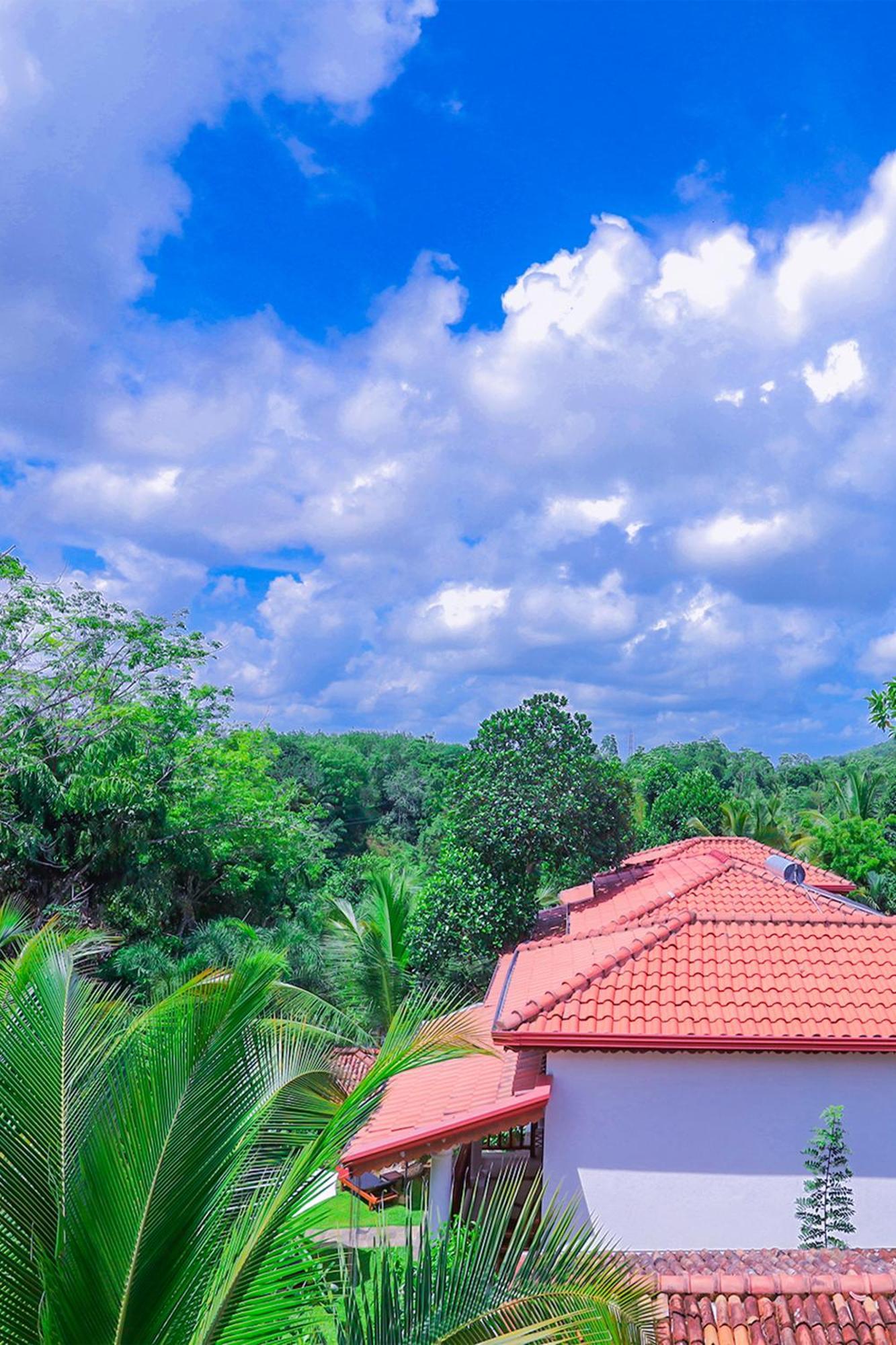Terrace Garden Ayurveda Resort Weligama Bagian luar foto
